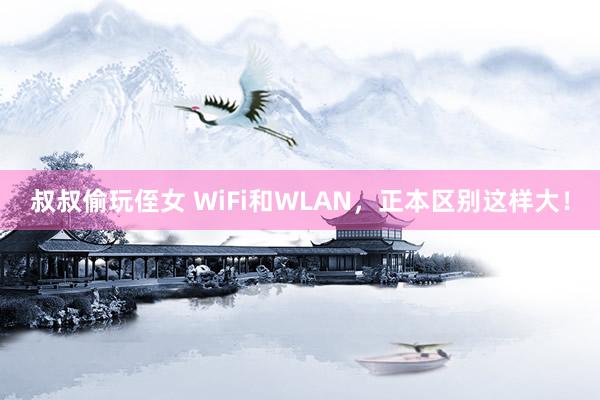 叔叔偷玩侄女 WiFi和WLAN，正本区别这样大！