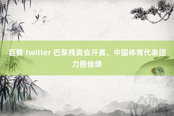 巨臀 twitter 巴黎残奥会开赛，中国体育代表团力图佳绩