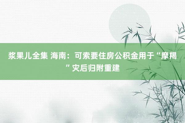 浆果儿全集 海南：可索要住房公积金用于“摩羯”灾后归附重建