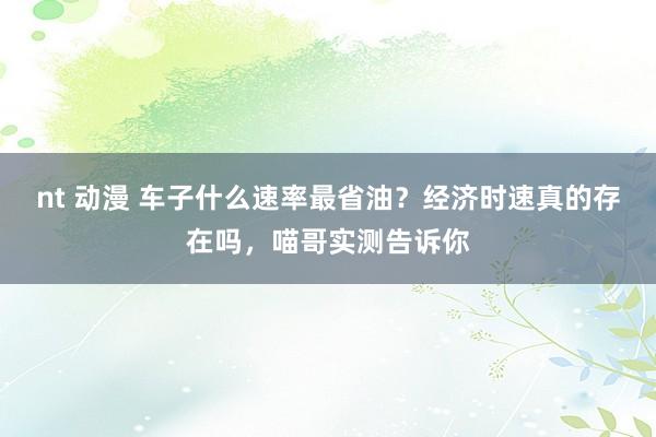 nt 动漫 车子什么速率最省油？经济时速真的存在吗，喵哥实测告诉你