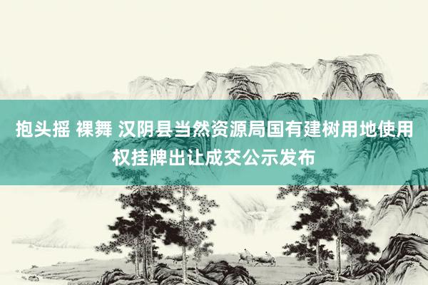 抱头摇 裸舞 汉阴县当然资源局国有建树用地使用权挂牌出让成交公示发布