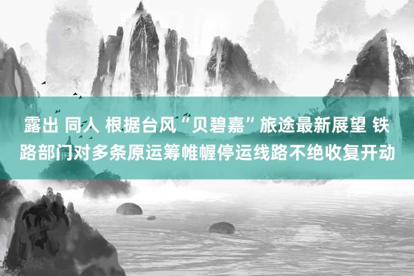 露出 同人 根据台风“贝碧嘉”旅途最新展望 铁路部门对多条原运筹帷幄停运线路不绝收复开动