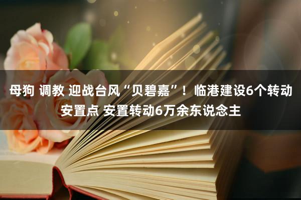 母狗 调教 迎战台风“贝碧嘉”！临港建设6个转动安置点 安置转动6万余东说念主