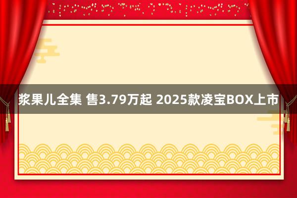 浆果儿全集 售3.79万起 2025款凌宝BOX上市