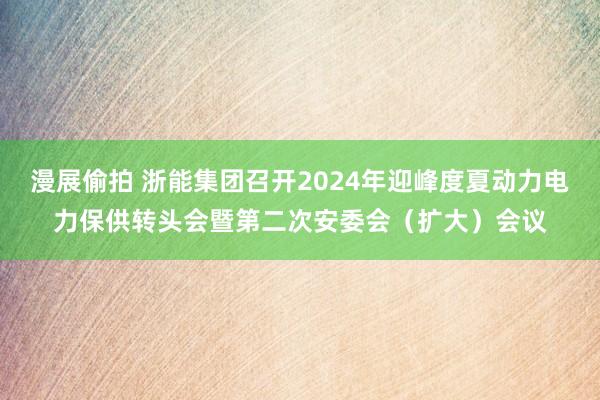 漫展偷拍 浙能集团召开2024年迎峰度夏动力电力保供转头会暨第二次安委会（扩大）会议