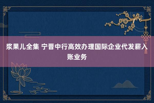 浆果儿全集 宁晋中行高效办理国际企业代发薪入账业务