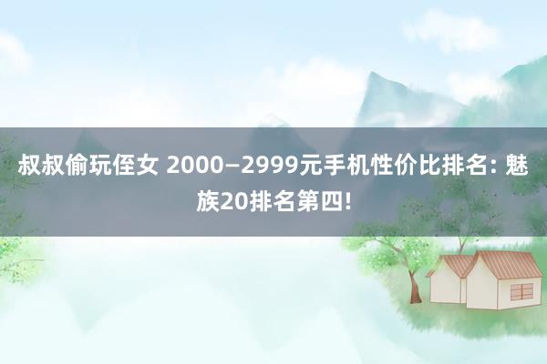 叔叔偷玩侄女 2000—2999元手机性价比排名: 魅族20排名第四!