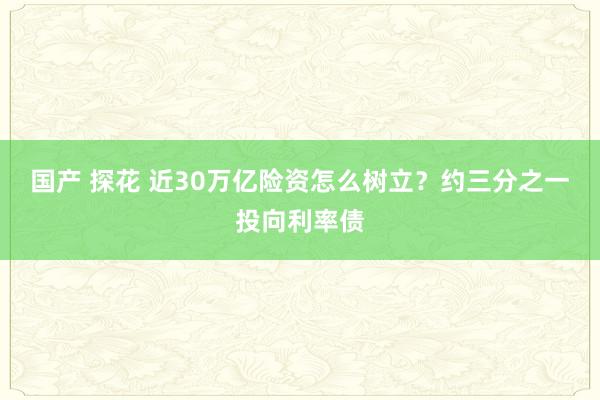 国产 探花 近30万亿险资怎么树立？约三分之一投向利率债