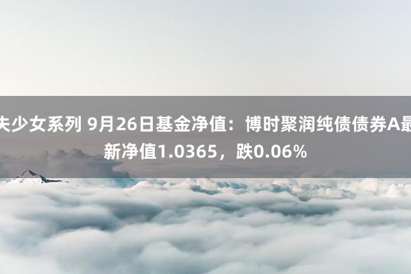 失少女系列 9月26日基金净值：博时聚润纯债债券A最新净值1.0365，跌0.06%