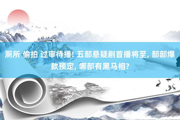 厕所 偷拍 过审待播! 五部悬疑剧首播将至， 部部爆款预定， 哪部有黑马相?