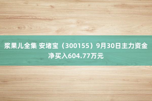 浆果儿全集 安堵宝（300155）9月30日主力资金净买入604.77万元