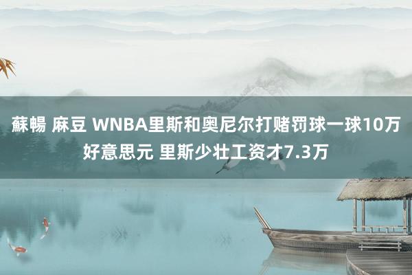 蘇暢 麻豆 WNBA里斯和奥尼尔打赌罚球一球10万好意思元 里斯少壮工资才7.3万