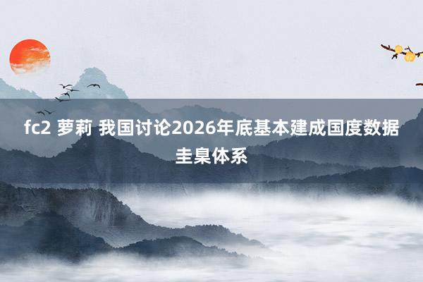 fc2 萝莉 我国讨论2026年底基本建成国度数据圭臬体系