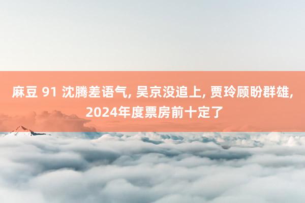 麻豆 91 沈腾差语气， 吴京没追上， 贾玲顾盼群雄， 2024年度票房前十定了