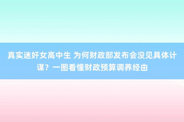 真实迷奸女高中生 为何财政部发布会没见具体计谋？一图看懂财政预算调养经由