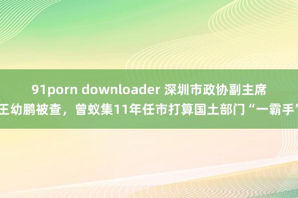 91porn downloader 深圳市政协副主席王幼鹏被查，曾蚁集11年任市打算国土部门“一霸手”