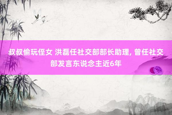 叔叔偷玩侄女 洪磊任社交部部长助理， 曾任社交部发言东说念主近6年