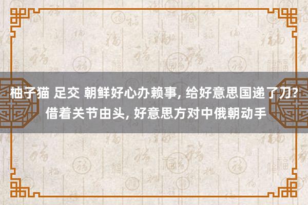 柚子猫 足交 朝鲜好心办赖事， 给好意思国递了刀? 借着关节由头， 好意思方对中俄朝动手