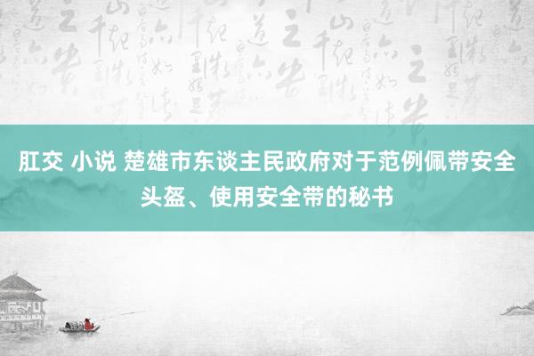 肛交 小说 楚雄市东谈主民政府对于范例佩带安全头盔、使用安全带的秘书