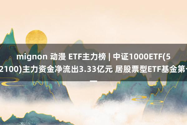 mignon 动漫 ETF主力榜 | 中证1000ETF(512100)主力资金净流出3.33亿元 居股票型ETF基金第一