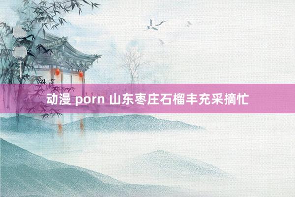 动漫 porn 山东枣庄石榴丰充采摘忙