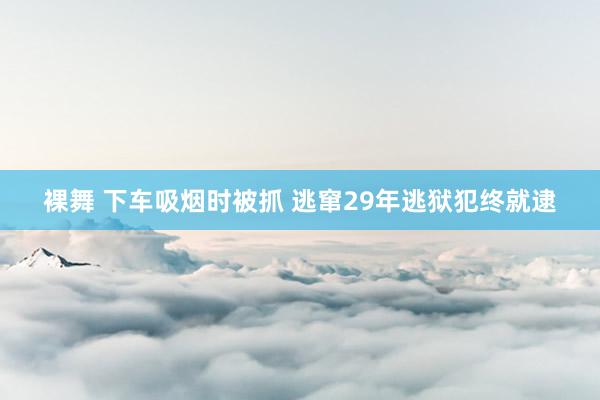 裸舞 下车吸烟时被抓 逃窜29年逃狱犯终就逮