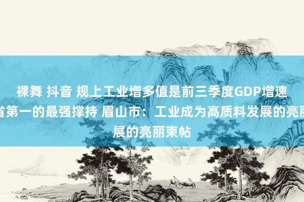 裸舞 抖音 规上工业增多值是前三季度GDP增速居全省第一的最强撑持 眉山市：工业成为高质料发展的亮丽柬帖