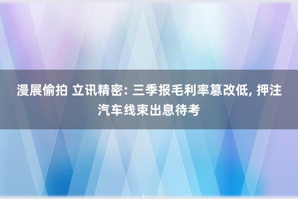 漫展偷拍 立讯精密: 三季报毛利率篡改低， 押注汽车线束出息待考