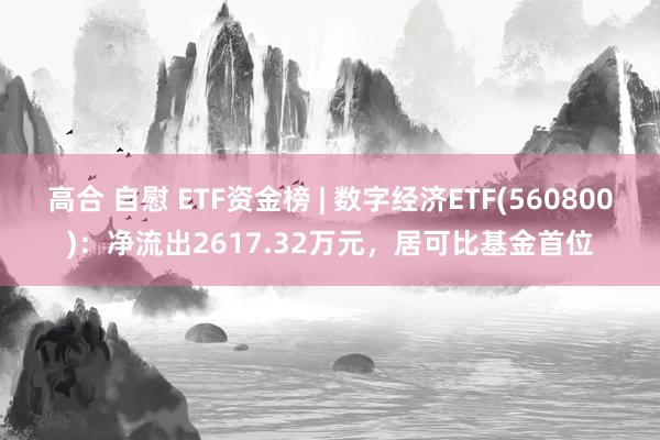 高合 自慰 ETF资金榜 | 数字经济ETF(560800)：净流出2617.32万元，居可比基金首位