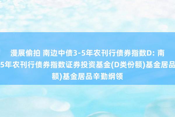 漫展偷拍 南边中债3-5年农刊行债券指数D: 南边中债3-5年农刊行债券指数证券投资基金(D类份额)基金居品辛勤纲领