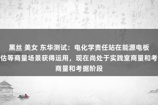 黑丝 美女 东华测试：电化学责任站在能源电板老化评估等商量场景获得运用，现在尚处于实践室商量和考据阶段