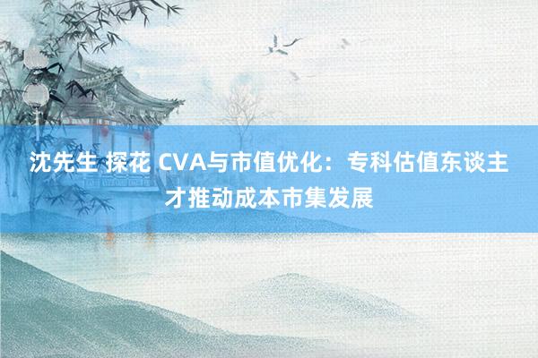 沈先生 探花 CVA与市值优化：专科估值东谈主才推动成本市集发展