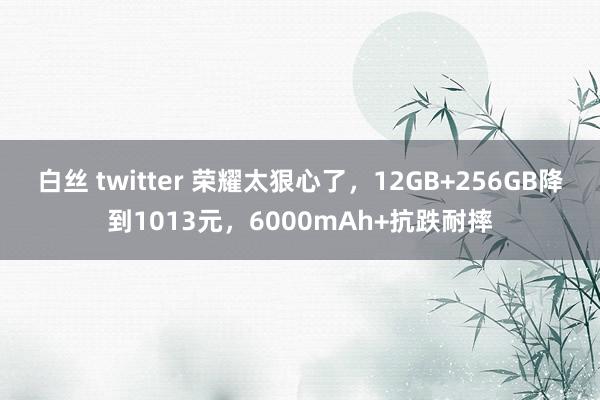 白丝 twitter 荣耀太狠心了，12GB+256GB降到1013元，6000mAh+抗跌耐摔