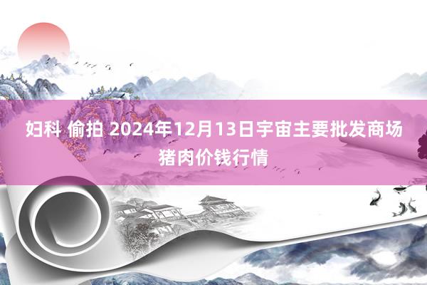 妇科 偷拍 2024年12月13日宇宙主要批发商场猪肉价钱行情