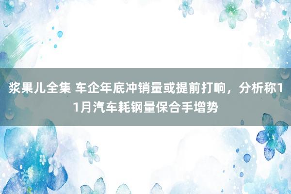 浆果儿全集 车企年底冲销量或提前打响，分析称11月汽车耗钢量保合手增势